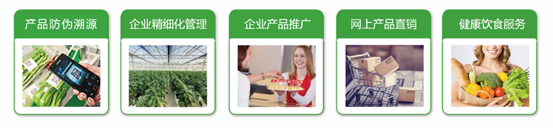 1-2019硅田產(chǎn)品畫冊(cè)1.8 18.png